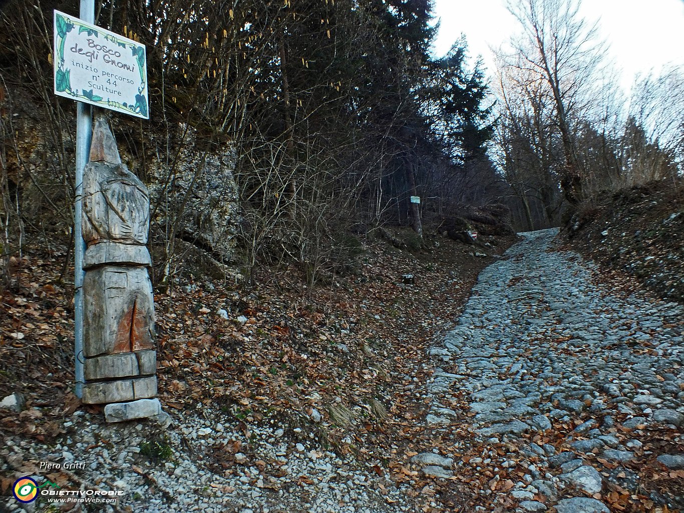 27 Inizio 'Bosco degli Gnomi'.JPG